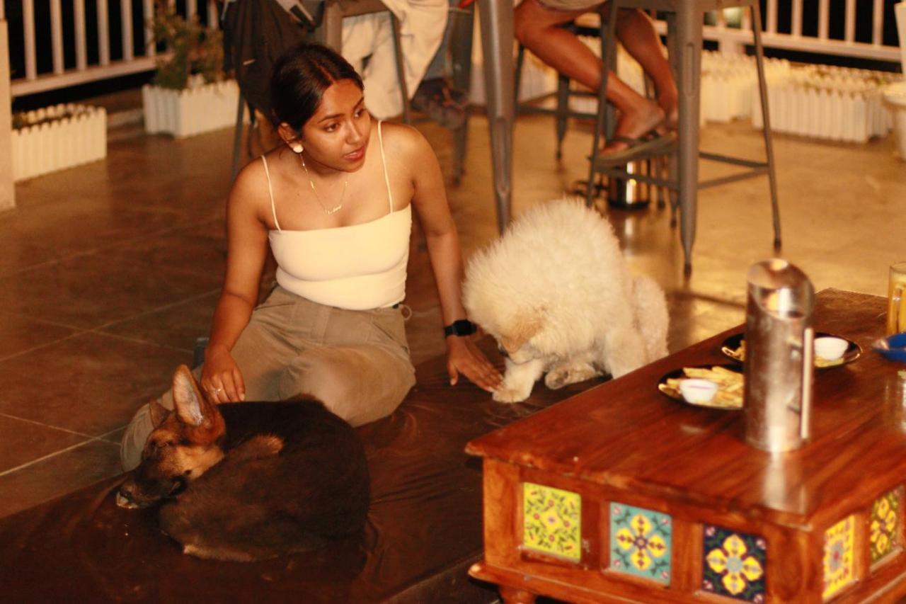 Backpacker Duniya Hostel ริชิเคช ภายนอก รูปภาพ